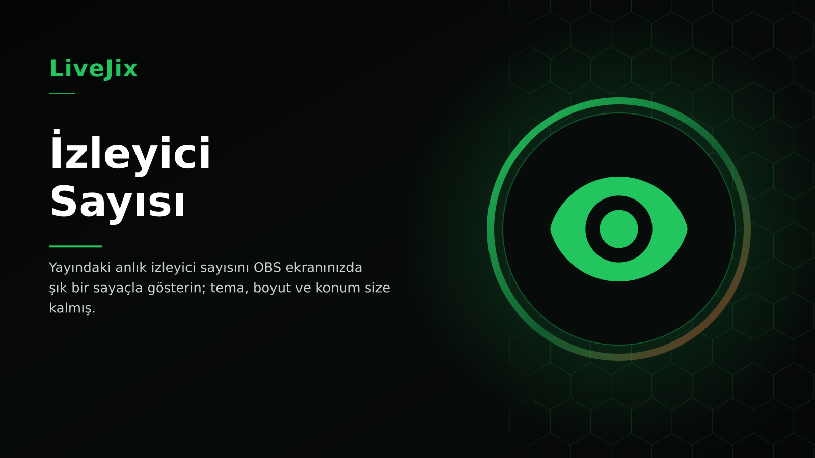 İzleyici Sayısı