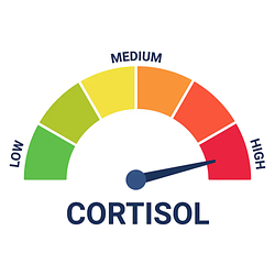 Cortisol Level (CORTISOL) 2026-2030 Fiyat Tahmini ve Teknik Analiz Raporu