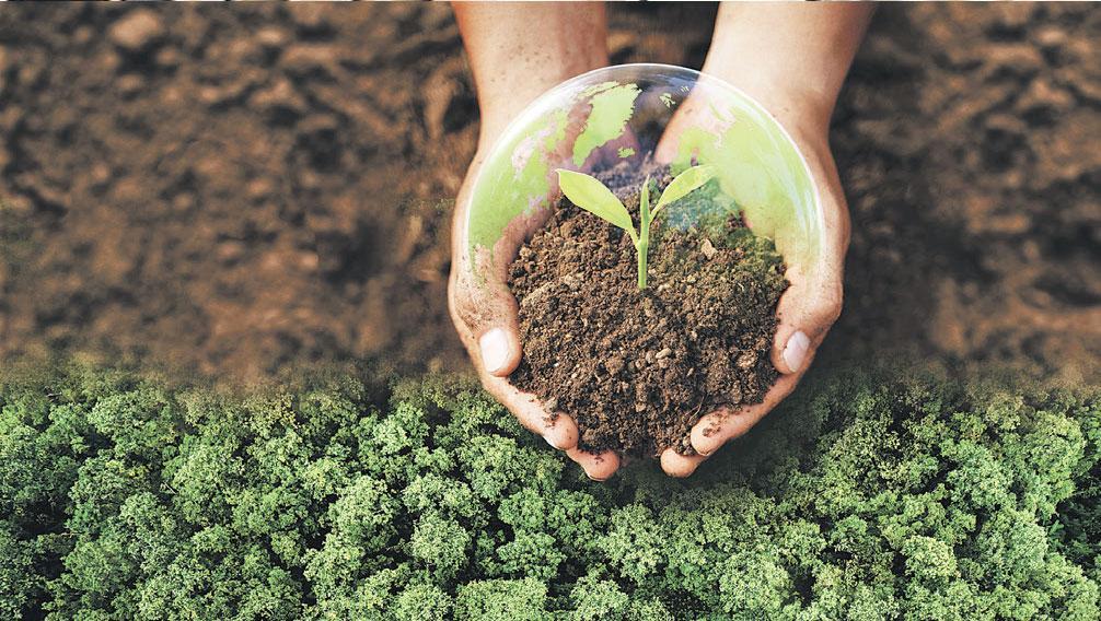 Amazon and UNDP Launch 450-Hectare Ecological Restoration Initiative in Earthquake Zone