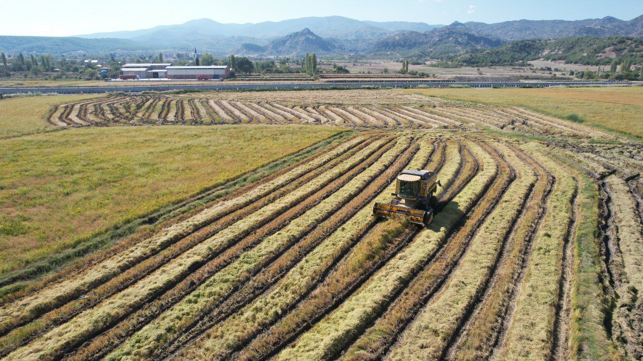 Balıkesir’s Economic Strategy: Risk Management in Agriculture and Industry-Oriented Growth