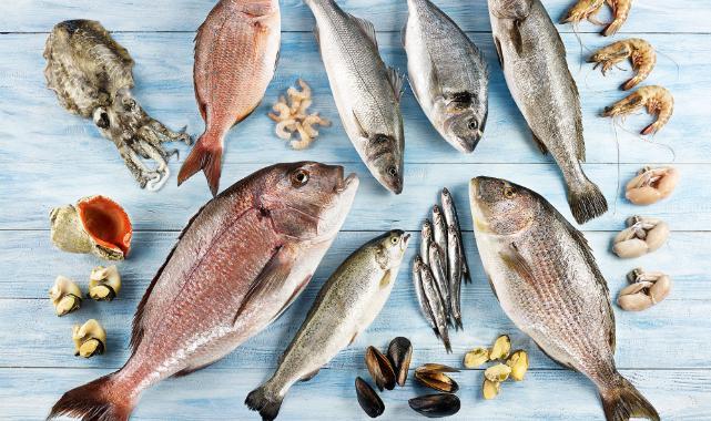 Sea Bass Leads Turkey's Seafood Exports to the US with 313% Growth Over a Decade