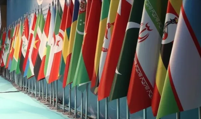 Organization of Islamic Cooperation to Hold Emergency Meeting Over Israel's West Bank Annexation Plans