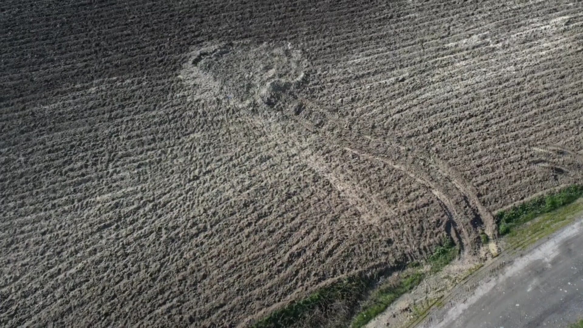 İstanbul'da Çinli İş İnsanı Cinayeti: Kripto Para İçin Diri Diri Gömüldü
