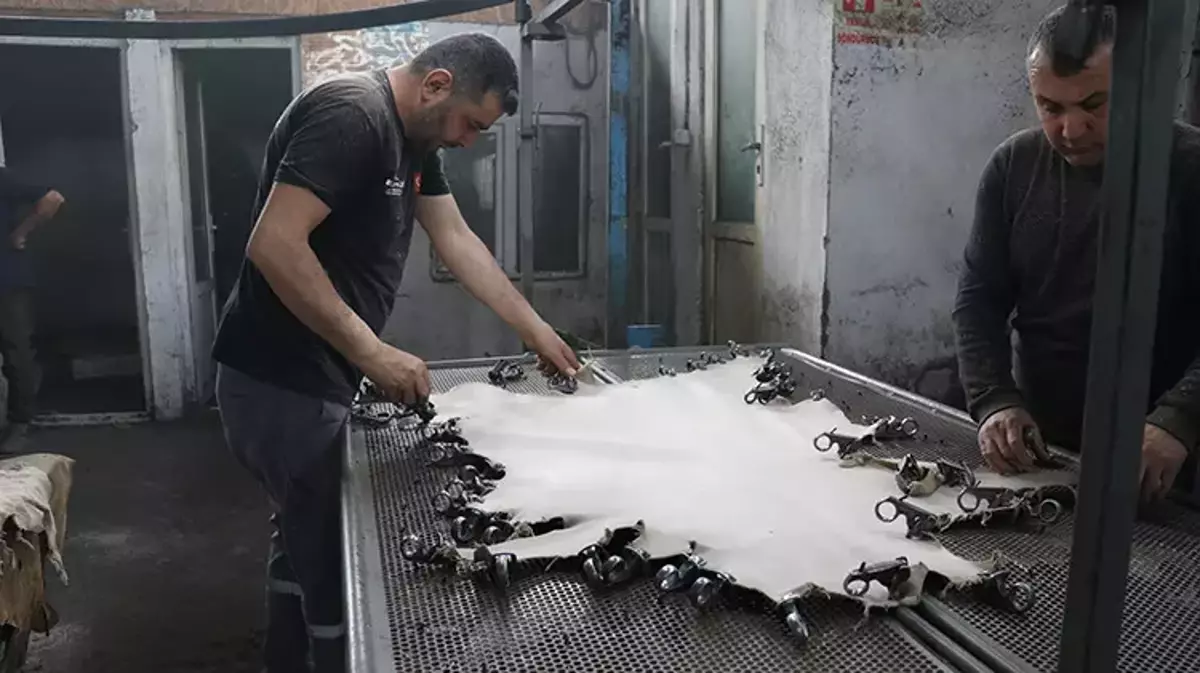 Isparta'dan Türkiye'ye: Ayakkabı Astarı Üretiminin Yüzde 70'ini Karşılayan Başarı Hikayesi