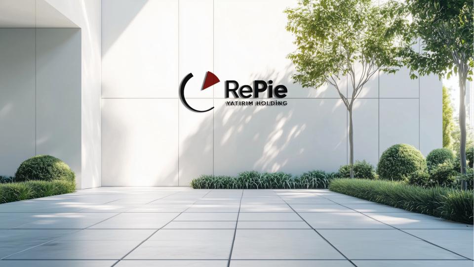 RePie Investment Holding Prepares for IPO