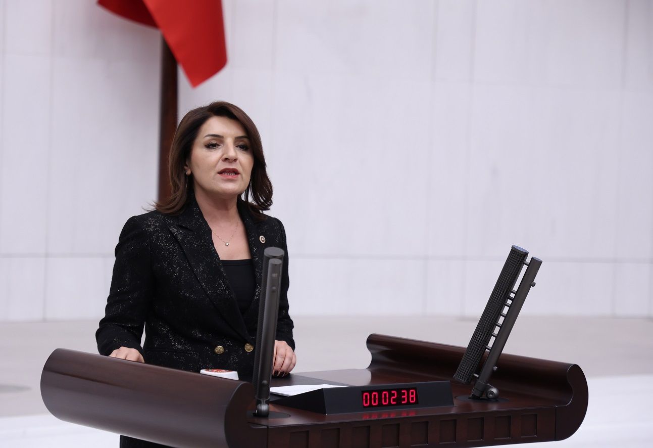 Gülcan Kış Criticizes Arrests and Detentions of Journalists Over Social Media Posts