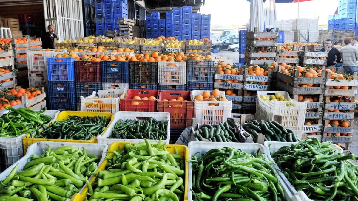 Hal Kayıt Sistemindeki Açık Üreticiyi Mağdur Ediyor: Milyonluk 'Güven' Vurgunu